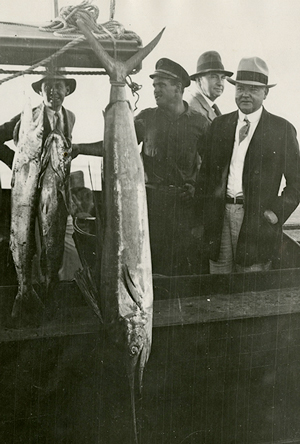 President elect Herbert Hoover catches a sail fish off the coast of Florida. 31-1929-a75